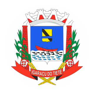 Igaraçu do Tietê Logo PNG Vector