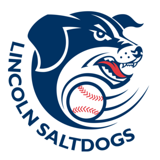 Lincoln Saltdogs Logo PNG Vector