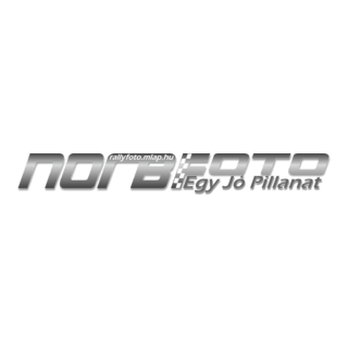 Norbifoto Logo PNG Vector