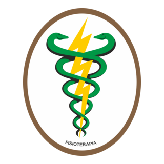 Physiotherapy Brazil - Fisioterapia Logo PNG Vector