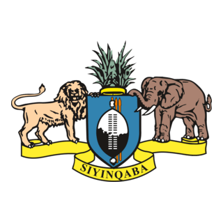 Siyinqaba Logo PNG Vector