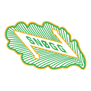 Snogg Fotball Logo PNG Vector