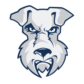 St. Francis Terriers Logo PNG Vector