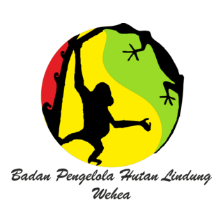 wehea samarinda Logo PNG Vector