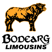 Bodearg Limousins Logo PNG Vector