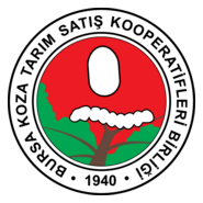 Bursa Koza Tarim Logo PNG Vector