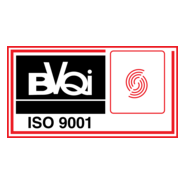 BVQI ISO 9001 S Logo PNG Vector