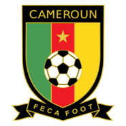 Cameroun 2010 Logo PNG Vector