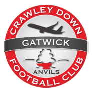 Crawley Down Gatwick FC Logo PNG Vector