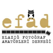 EFAD Logo PNG Vector