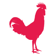 horoz rooster Logo PNG Vector
