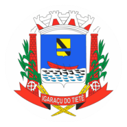 Igaraçu do Tietê Logo PNG Vector