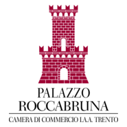 PALAZZO ROCCABRUNA Logo PNG Vector