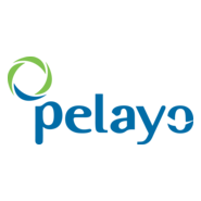 Pelayo Seguros Logo PNG Vector