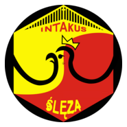 Ślęza Wrocław Logo PNG Vector