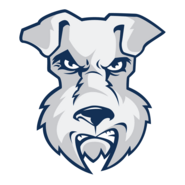 St. Francis Terriers Logo PNG Vector