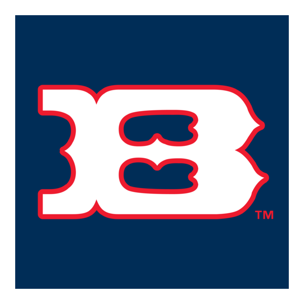 Boise Hawks Logo PNG Vector