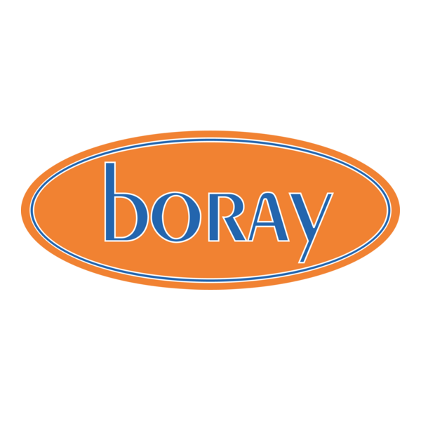 Boray Motorlu Araclar Logo PNG Vector