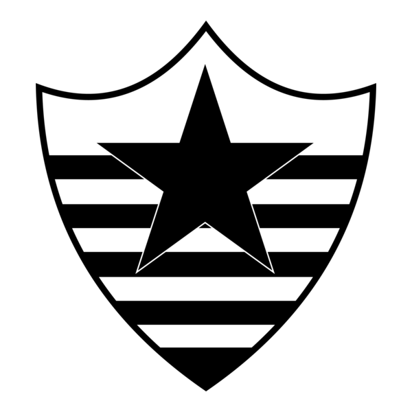 Botafogo Esporte Clube de Teresina-PI Logo PNG Vector