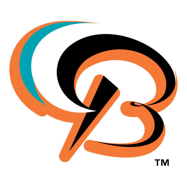 Bowie Baysox Logo PNG Vector