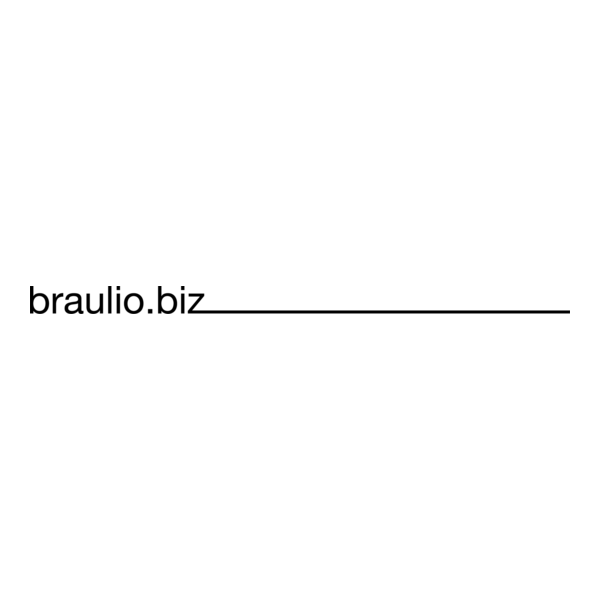 braulio.biz Logo PNG Vector