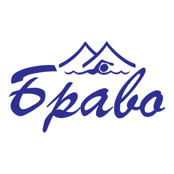 Bravo Logo PNG Vector