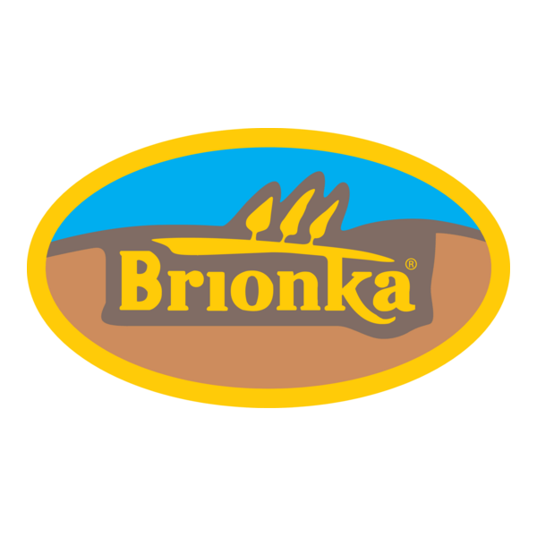 BRIONKA Logo PNG Vector