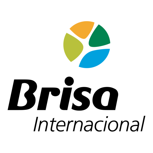 Brisa Internacional Logo PNG Vector
