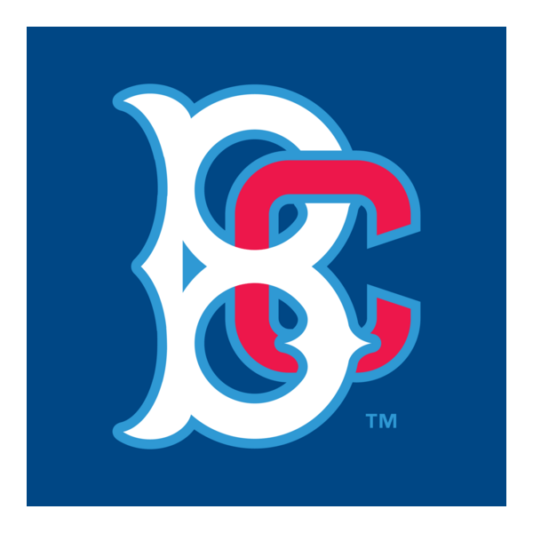 Brooklyn Cyclones Logo PNG Vector