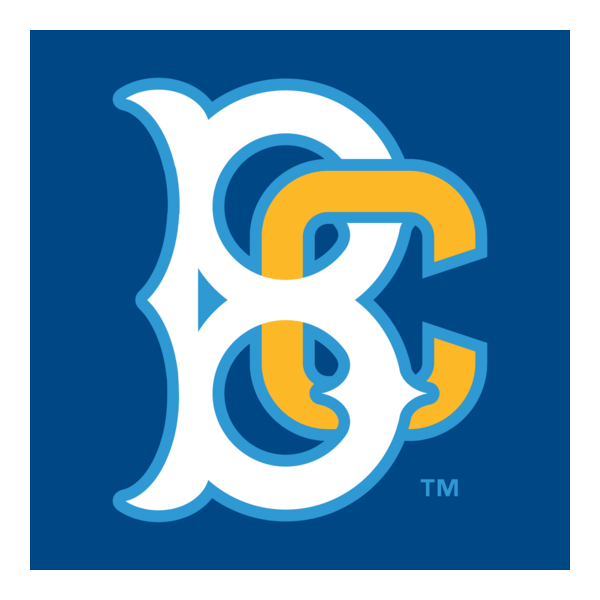Brooklyn Cyclones Logo PNG Vector