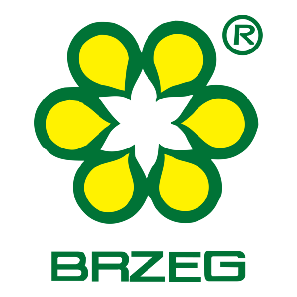 Brzeg Logo PNG Vector