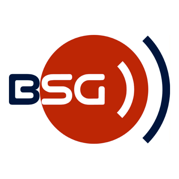 BSG Logo PNG Vector