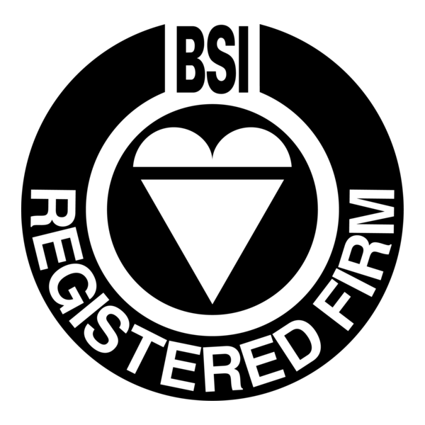 BSI Logo PNG Vector