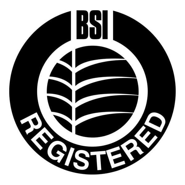 BSI Logo PNG Vector