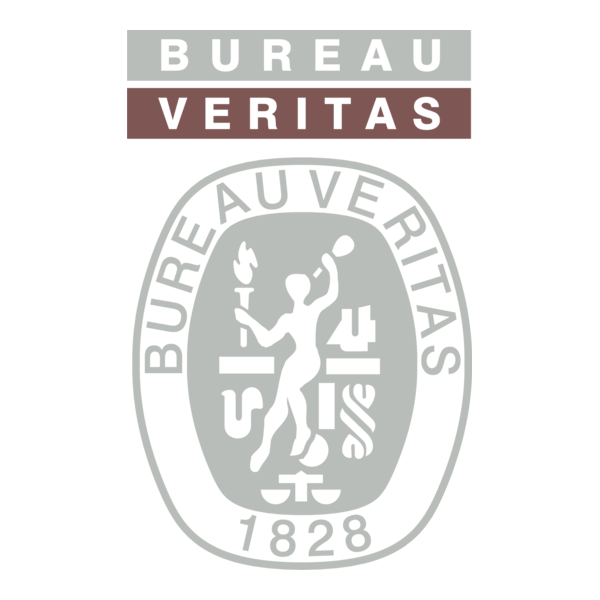 Bureau Veritas Logo PNG Vector