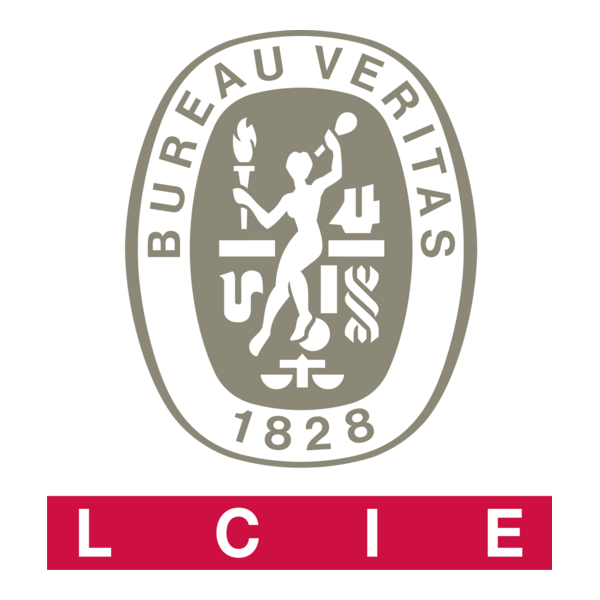 Bureau Veritas Logo PNG Vector