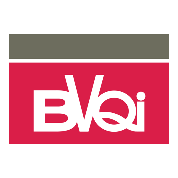 BVQI Logo PNG Vector