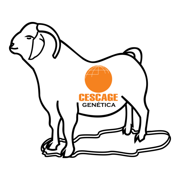 Cescage Genética Logo PNG Vector