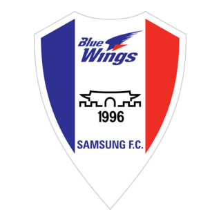 Blue Wings Logo PNG Vector