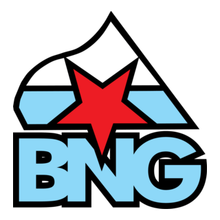 BNG Logo PNG Vector