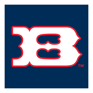 Boise Hawks Logo PNG Vector