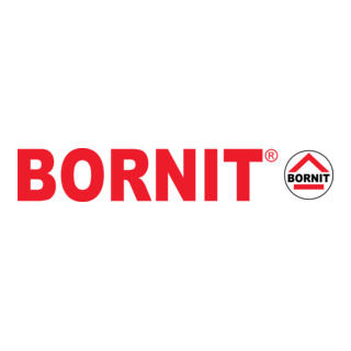 BORNIT Logo PNG Vector