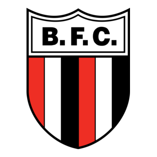 Botafogo SP Logo PNG Vector