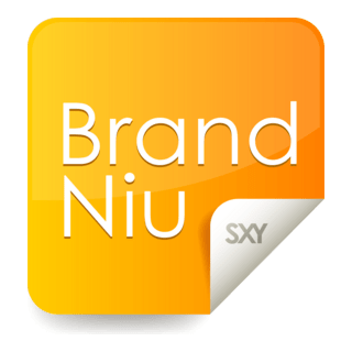 BrandNiu Logo PNG Vector