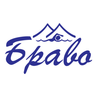 Bravo Logo PNG Vector