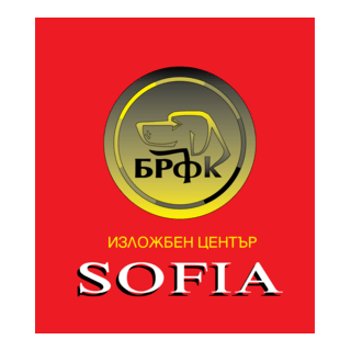 BRFC VIP Logo PNG Vector