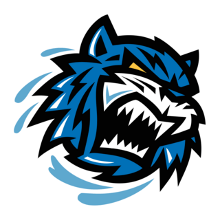 Bridgeport Sound Tigers Logo PNG Vector