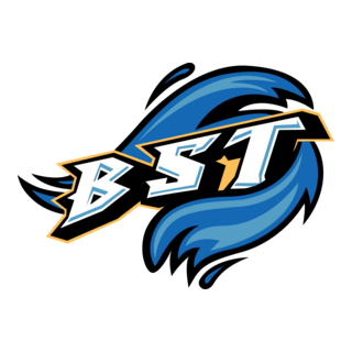 Bridgeport Sound Tigers Logo PNG Vector