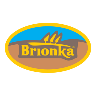 BRIONKA Logo PNG Vector