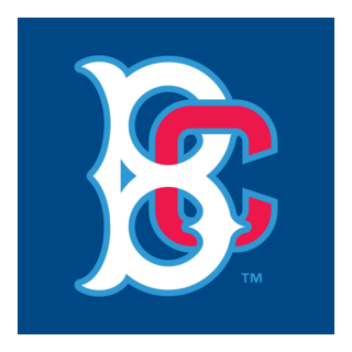 Brooklyn Cyclones Logo PNG Vector
